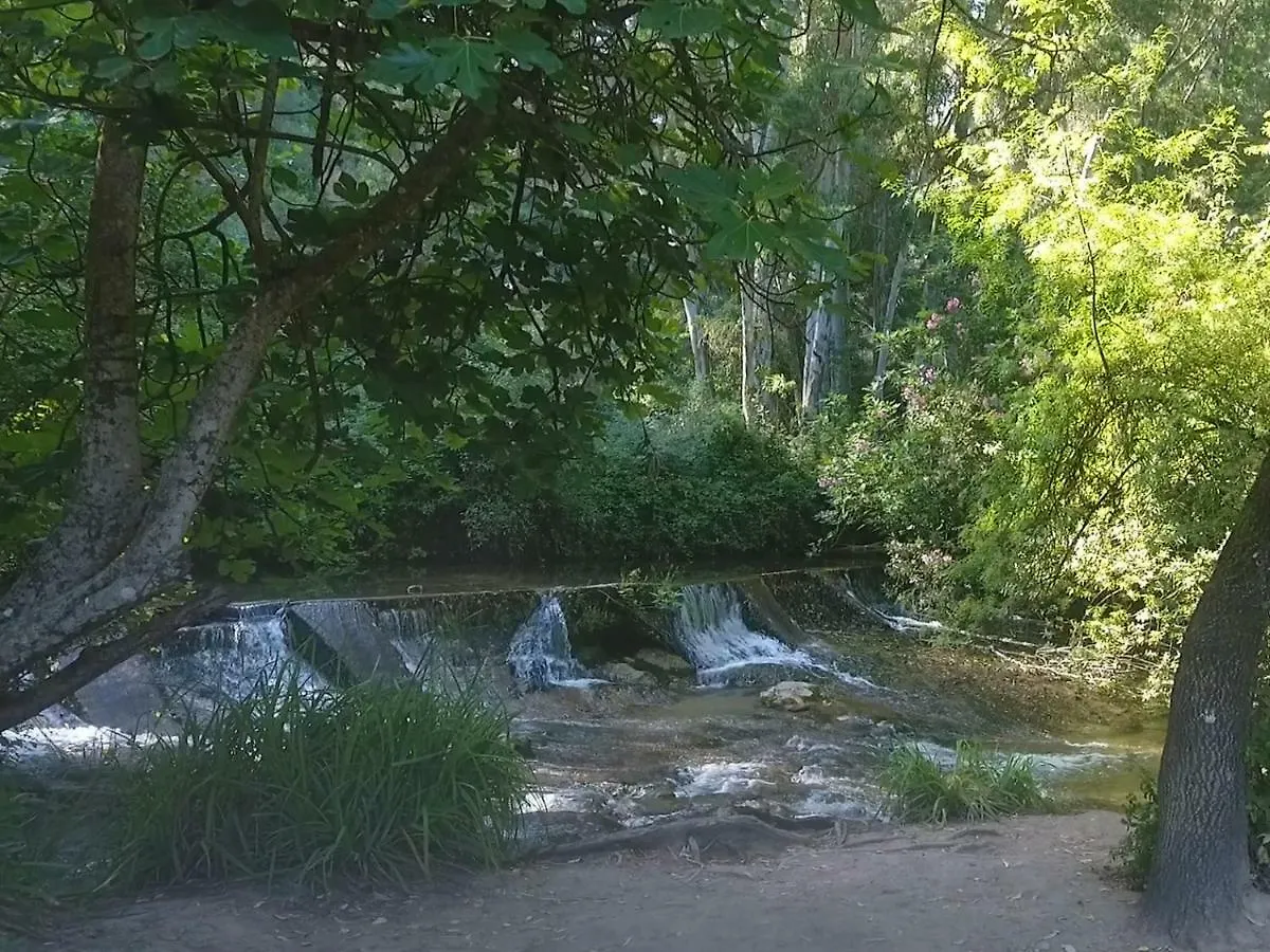 Atico Cahi Διαμέρισμα El Bosque